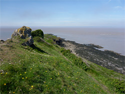 Lichen-covered rock