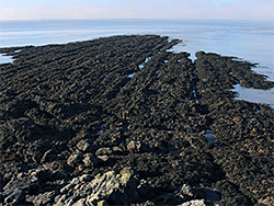 Rocks at low tide