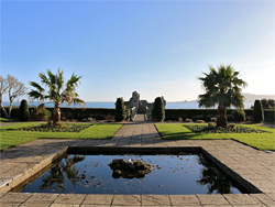 Pond and palm trees