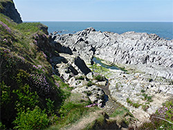 Path near Sandy Cove
