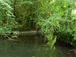 Pool on the canal