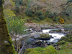 Upstream of Sharrah Pool