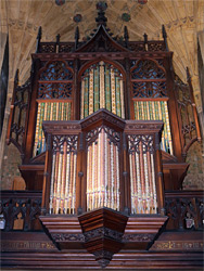 The organ