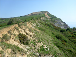 Shore Cliffs