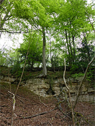 Old quarry