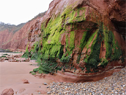 Entrance to a cave