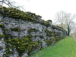 North wall