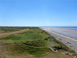 Coastal dunes - south