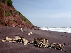 Driftwood