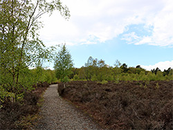 Gravel track