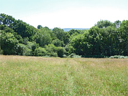 Path across a field