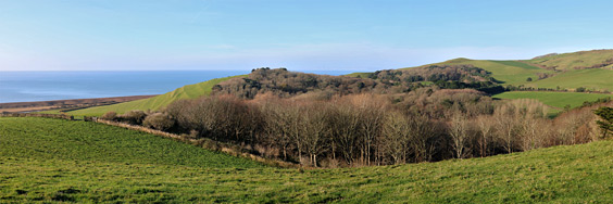 Stavordale Wood