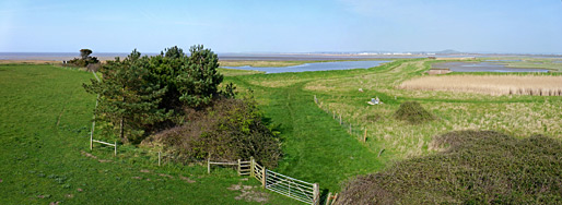 View from the tower hide