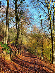 Autumnal path