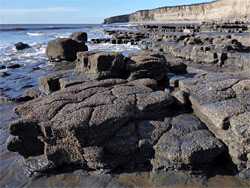 Barnacle-covered rocks