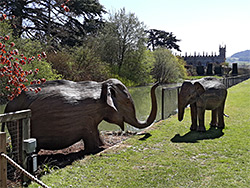 Elephants and St Mary's Church