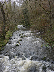 Upstream of the footbridge