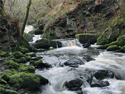 Sequence of falls