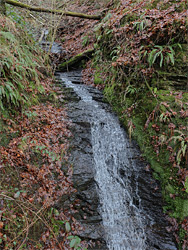 Tributary stream