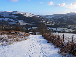 Footprints in the snow