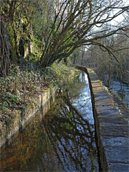 Reflections on the aqueduct