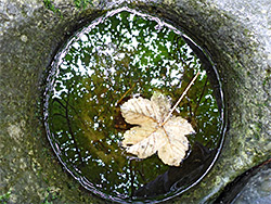 Leaf in a pothole