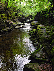 Mossy ledges