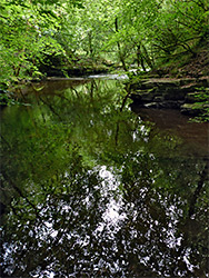 Calm pool