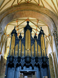 Organ