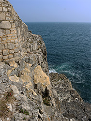 Wall and cliff