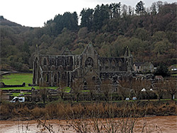 Tintern Abbey