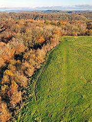 Above the woodland