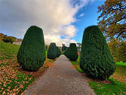 Garden pathway