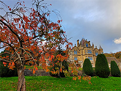 Gardens, in autumn