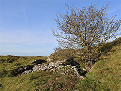 Limestone outcrop