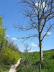 West-side path