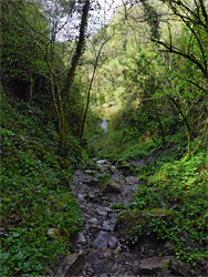 Upper end of the gorge