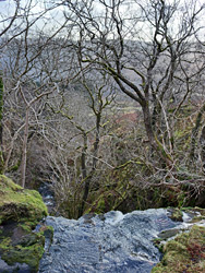 Brink of a waterfall