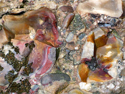 Pink and orange flint