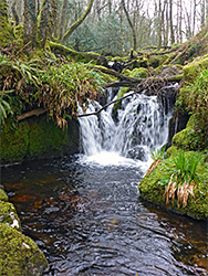 Waterfall and pool