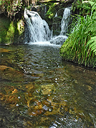 Pool and falls