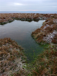 Frozen pool