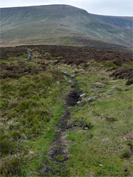 Path to the summit