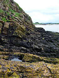 Lichen-covered rocks