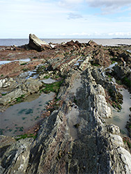 Rocks at low tide