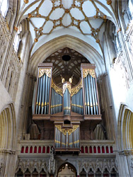 The organ