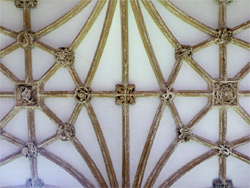 Ceiling of the cloisters