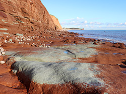 Greenish-grey mudstone