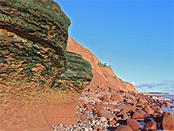 Seaweed on undercut rock