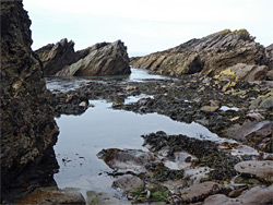 Rocks at low tide